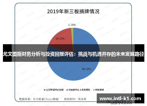 尤文图斯财务分析与投资回报评估:挑战与机遇并存的未来发展路径 尤文图斯财务分析与投资回报评估:挑战与机遇并存的未来发展路径