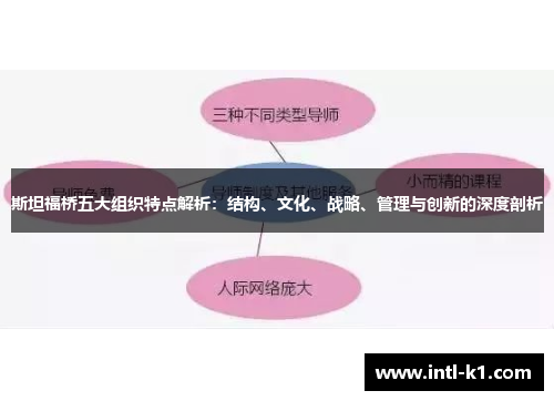斯坦福桥五大组织特点解析：结构、文化、战略、管理与创新的深度剖析