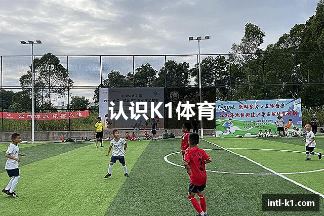 认识K1体育